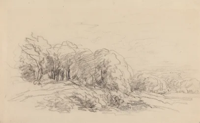 Paysage avec arbres